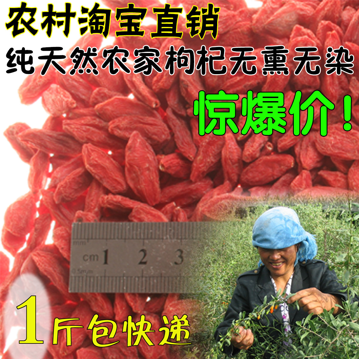 中宁枸杞特优级枸杞王图片