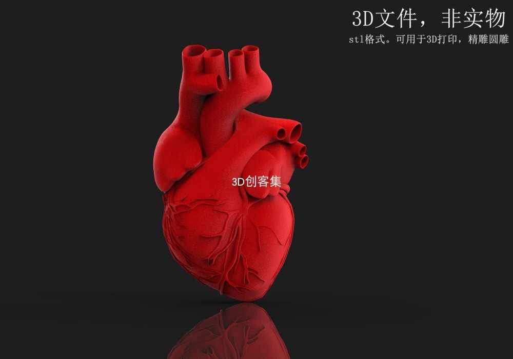 3d打印图纸三维数模医学3d素材stl文件(心脏结构)