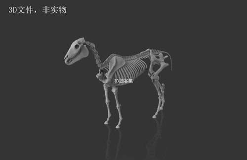 3D打印图纸/医学3D图/3D数据/3D素材/STL文件(马的骨架)
