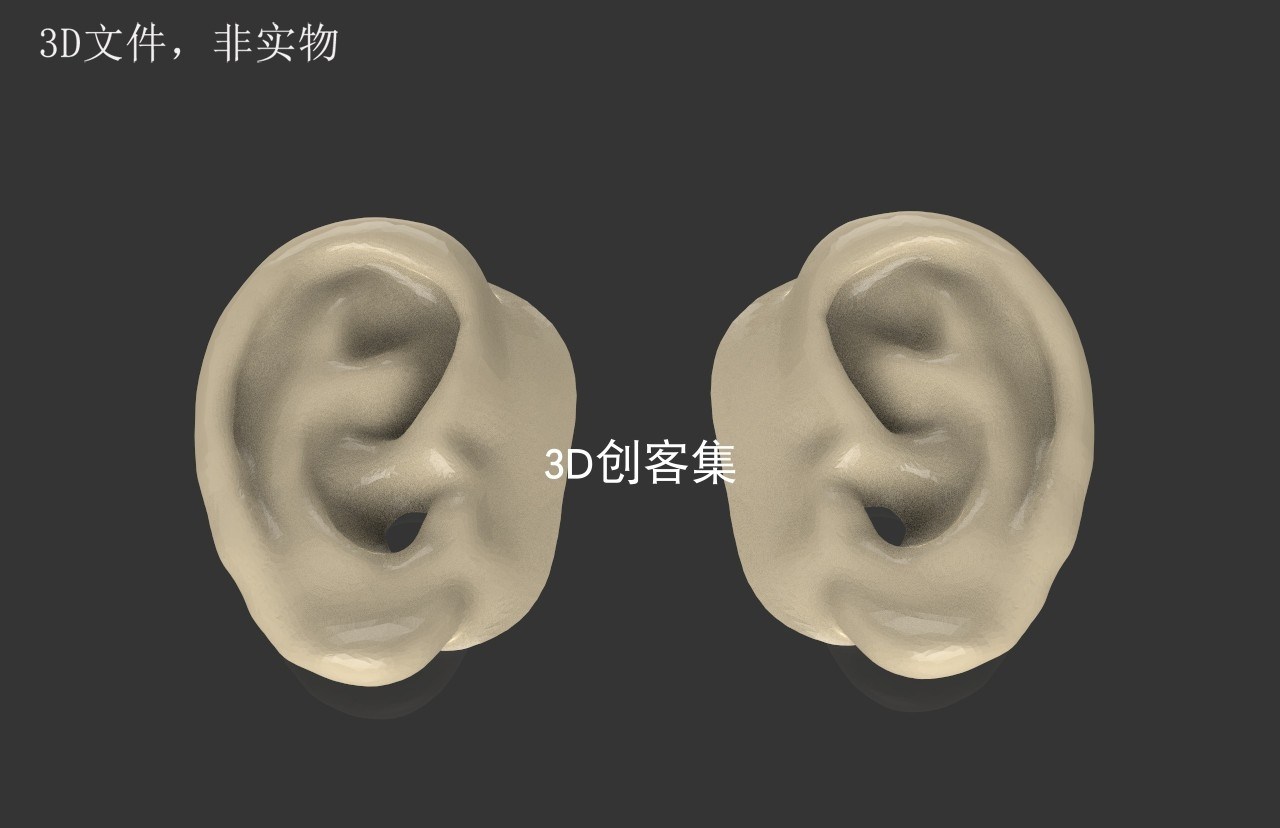 3d打印图纸stl医学3d模型人体结构ct转3d(人耳-耳朵-左右耳)