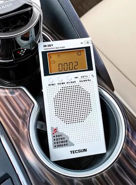 蓝牙tecsun锂电池音乐播放器