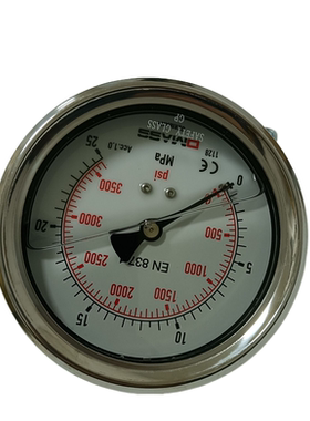 压力表DMASS德玛仕EN837-1MBB10U-250-1-Z-Z-Z 100盘 轴向25MPA
