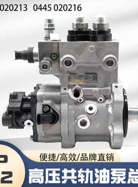 博士电喷油泵CP2.2高压共轨油泵总成供油泵0445020216 0445020213