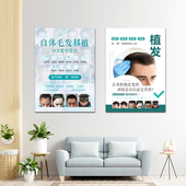 自体毛发移植定制挂画 饰画头发保养养生护理壁画 整形美容院墙装