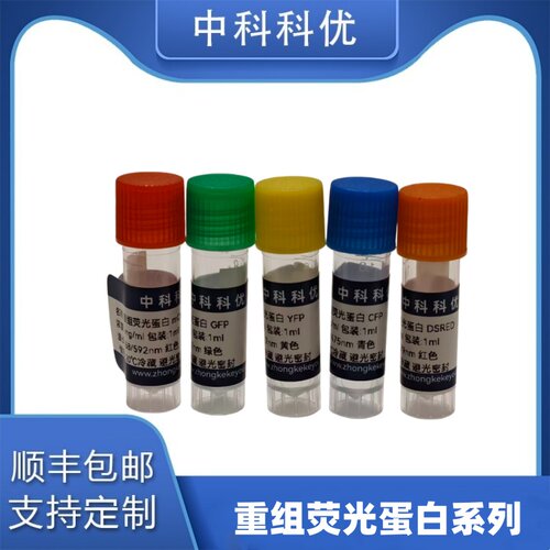 中科科优 重组荧光蛋白 GFP荧光蛋白 青色 433nm 475nm官方直营