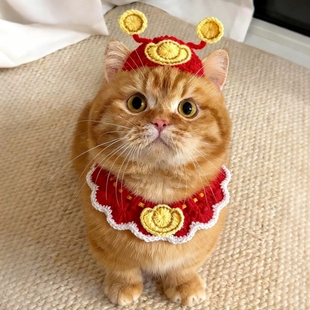 新年财神装扮宠物猫咪围脖帽子套装狗狗围巾配件针织口水巾头套