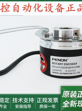 ITD 21 A 4 Y73 1024 4096 R T NI K2SK1R S12 S 12 IP6503 03