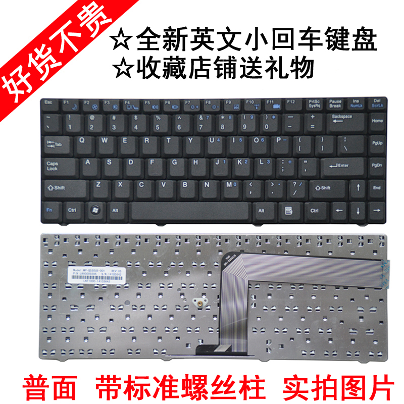 神舟F1000 F1400 F1600 F100 F150 F160 F555T F545T F320T F239T F237T F233T F160T键盘U450 T35 D1 Eus4