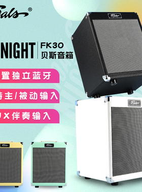 foals贝斯音箱FK30贝司专用户外练习排练演出bass音响带蓝牙