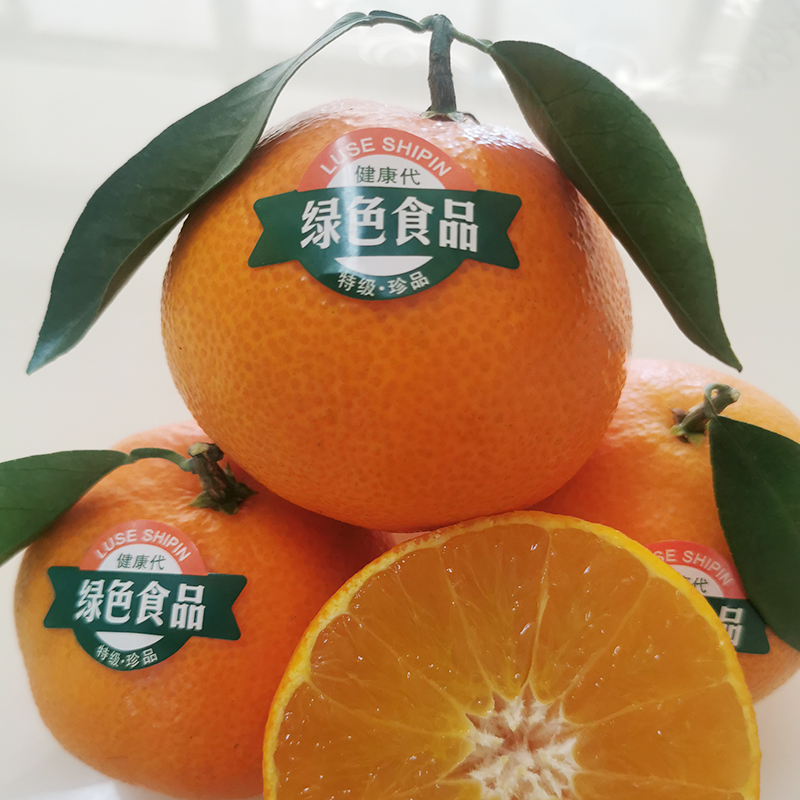 【假一赔十】象山红美人柑橘