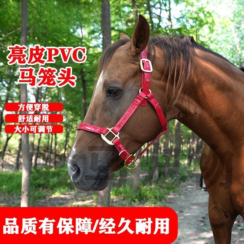 迪凯侬马具红色亮面抗寒漆皮马笼头马术牵马笼套加厚五金扣马龙套