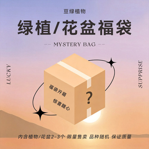 超值福袋盲盒捡漏清仓