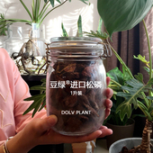 豆绿 植物土壤园艺装 松磷 发酵树皮 饰铺面 棕椰丝 DOLV