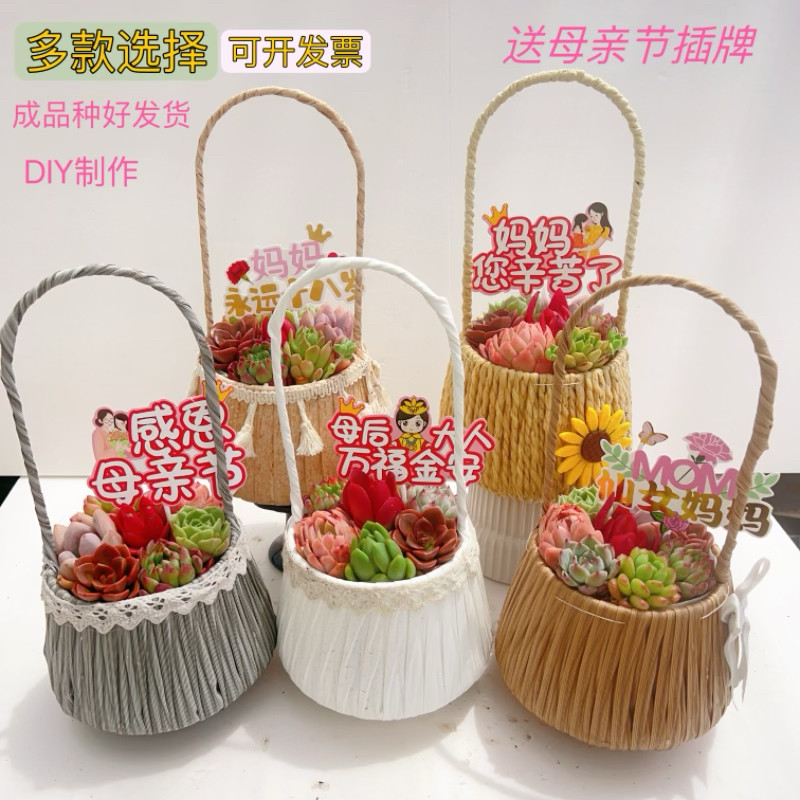 母亲节礼物多肉植物手提花篮DIY 送老妈妈婆婆成品栽种好发货包邮