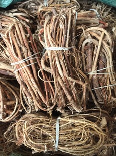 五指毛桃根野生新鲜无硫熏五爪龙根特级干货滋补煲汤火锅材料500g