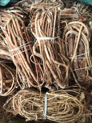 无硫熏滋补煲汤火锅五指毛桃根