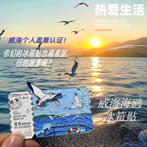 小红书威海高颜值磁吸金属冰箱