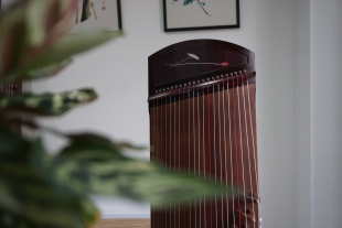 至听古筝至斗柚木实木漆画专业演奏入门初学 小古筝 135便携式