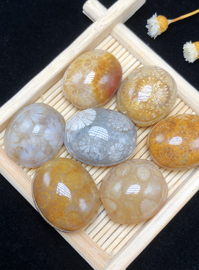 珊瑚玉龟壳雕刻散珠男女款手串