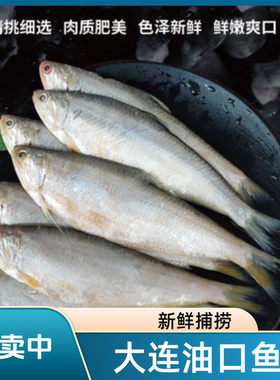 大连新鲜油扣鱼5斤 马口鱼 黄鲫鱼毛扣鱼油扣油炸香煎酥 速冻发货