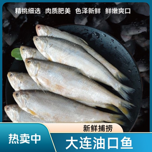 大连新鲜油扣鱼5斤 马口鱼 黄鲫鱼毛扣鱼油扣油炸香煎酥 速冻发货