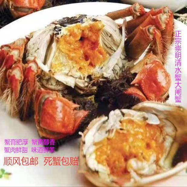 8只礼盒装上海崇明大闸蟹清水蟹产地直发鲜活大闸蟹公3.5两母2.5