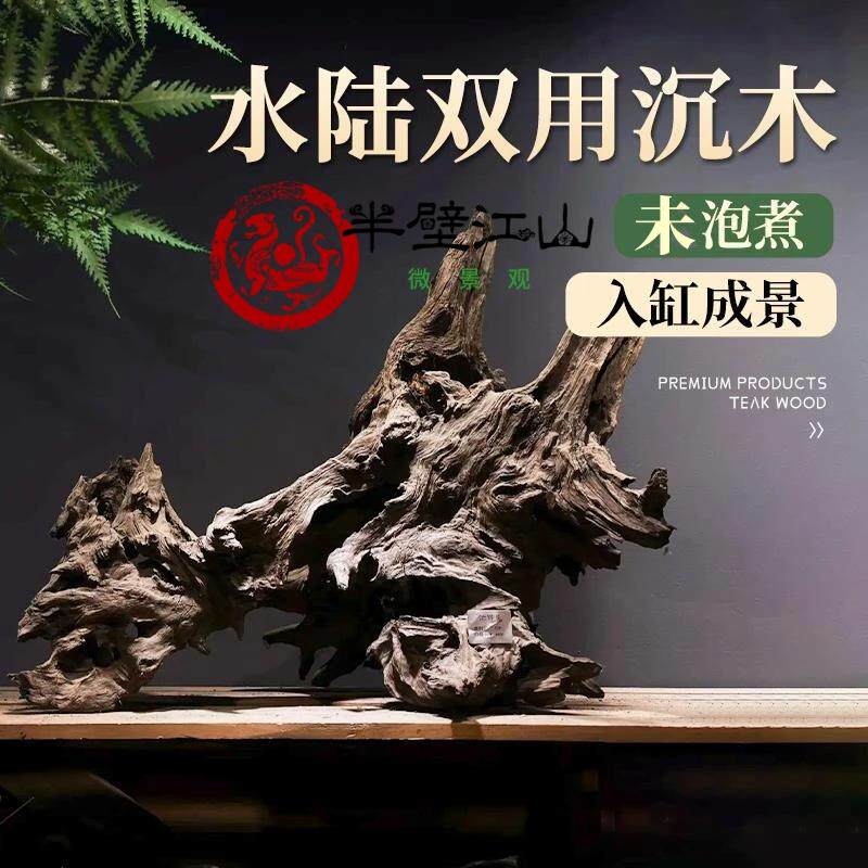 沉木鱼缸造景专用守宫乌龟蜥蜴图片