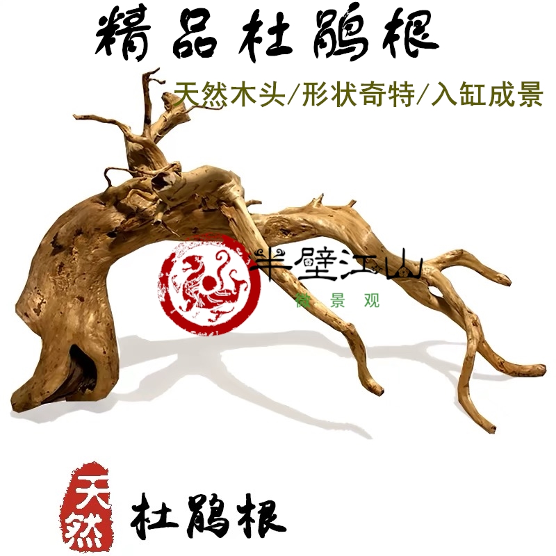 杜鹃根枝条莫斯树成品树形造景