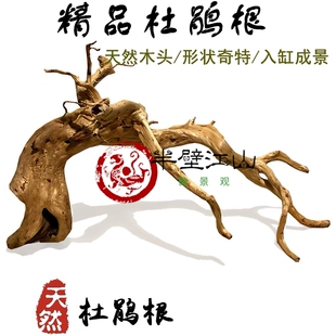 杜鹃根枝条莫斯树成品树形免煮沉木鱼缸水族箱造景小沉木枝条栖根