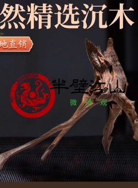 沉木紫柚木鱼缸造景木树桩拱桥躲避10-60CM装饰摆件马来西亚进口