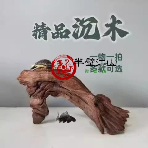 【当天发】栖根沉木爬宠造景木