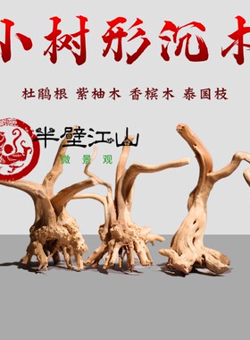 天然杜鹃根栖根紫柚木沉木鱼缸