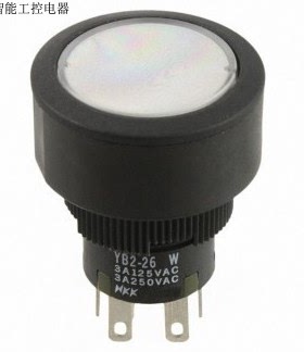 按钮开关YB2-26CWCKW01