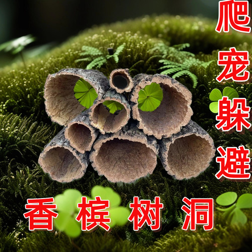 香槟树皮圆桶爬宠躲避雨林缸空气