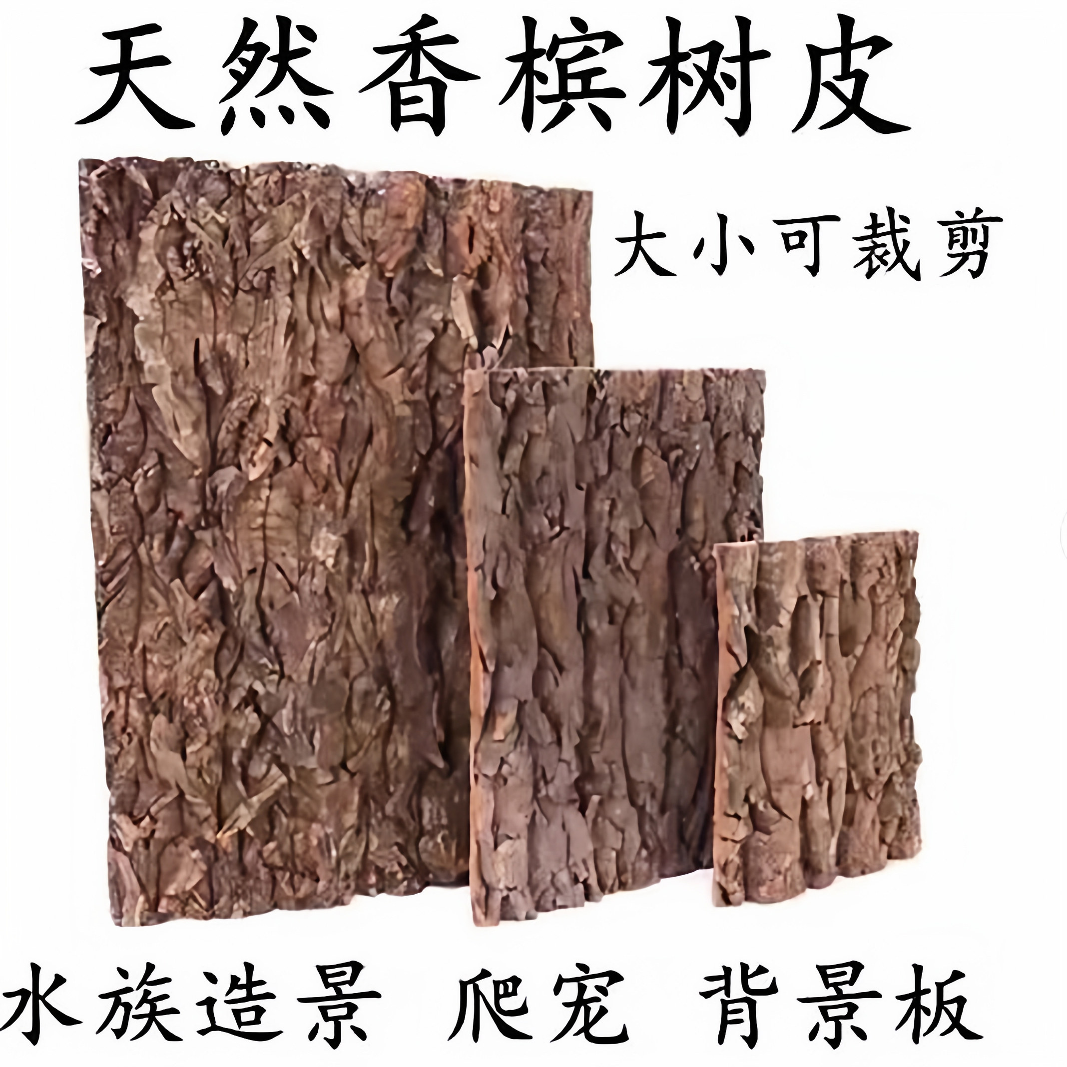 香槟树皮 雨林生态缸背景板 爬宠躲避树皮  洋兰造景树皮不腐烂图片
