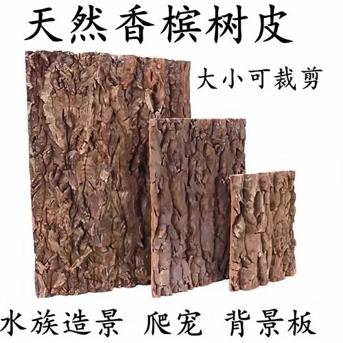香槟树皮 雨林生态缸背景板 爬宠躲避树皮  洋兰造景树皮不腐烂