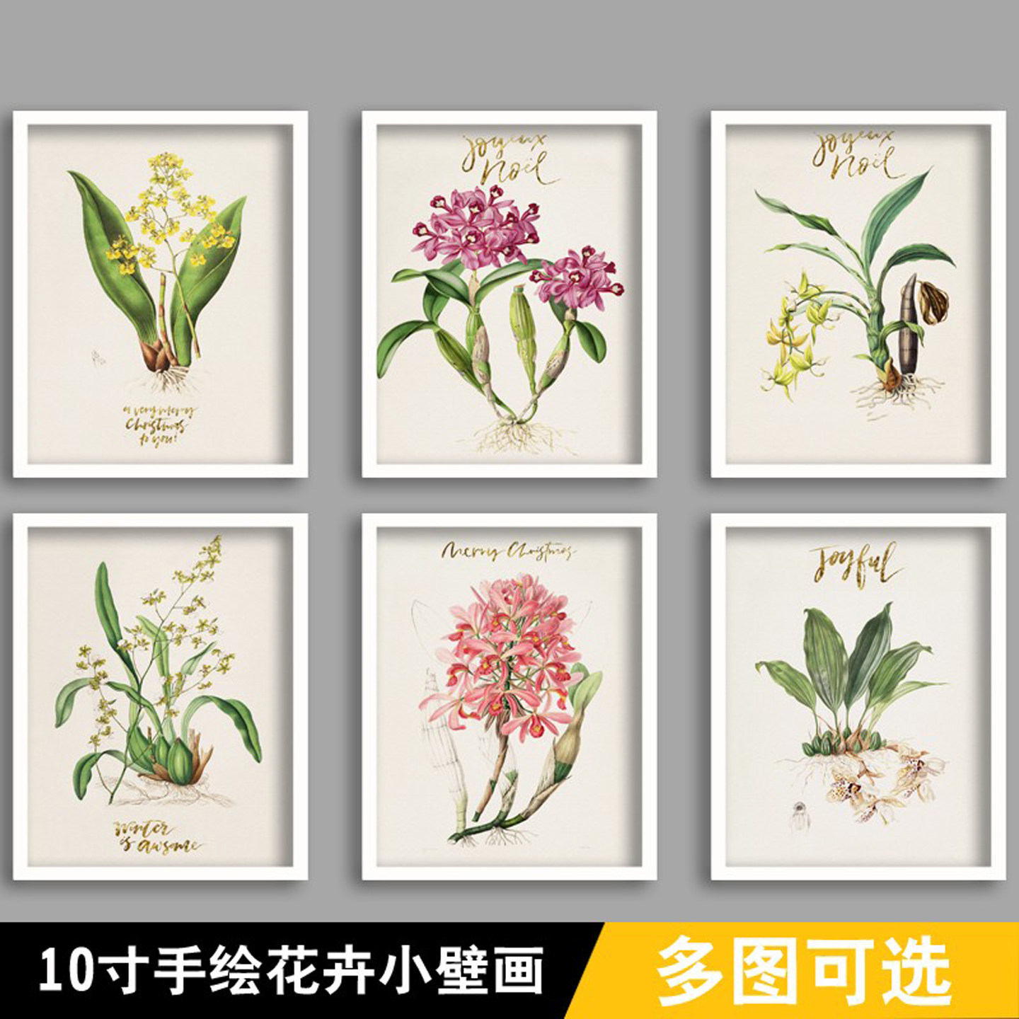 沙发背景墙挂画白色带框装饰画手绘花卉壁画复古植物装饰挂画