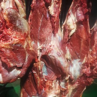 山东驴肉老店骡马肉新鲜现宰带皮不带皮正宗包邮送炖肉料包