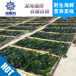 沈船长东山岛野生海带干货海带结海带片海带头海带丝出口品质