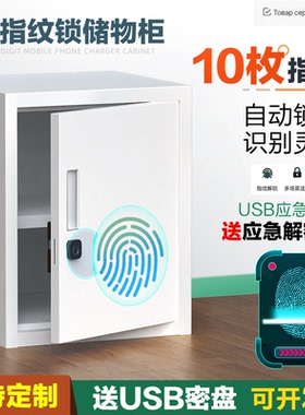 小型钢制智能电子指纹锁保密文件重要物品印章储物带锁铁皮柜私密