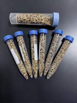 蚂蚁食物收获蚁吃的食物工匠收获蚁针毛收获蚁原生收获蚁种子包邮