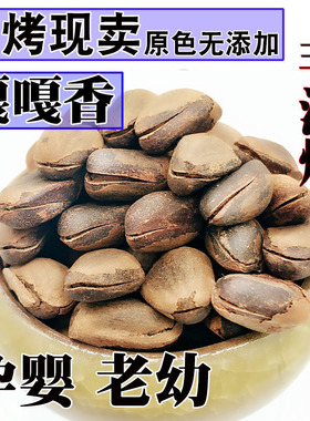 红松子新货东北特产开口松子松树屯坚果特大颗粒原味手剥人工500g