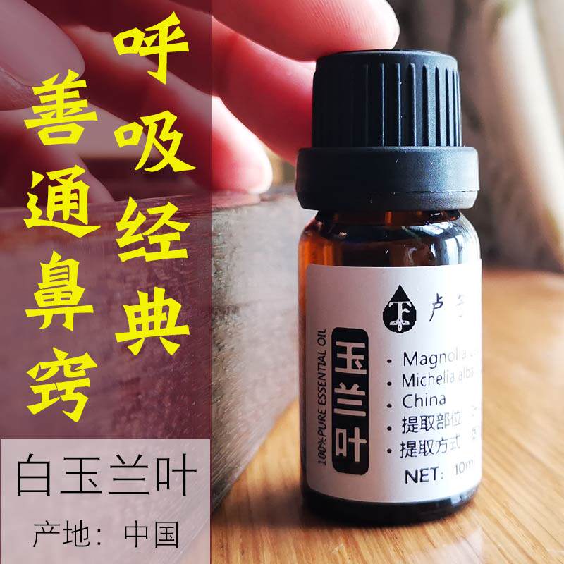 白玉兰叶精油10ml白兰叶纯单方 呼吸经典 肺经净化香薰花叶香清痰