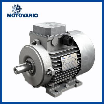 供应DRDRIVES三相异步交流电机TS63A2 0.25KW 三相异步进口马询价