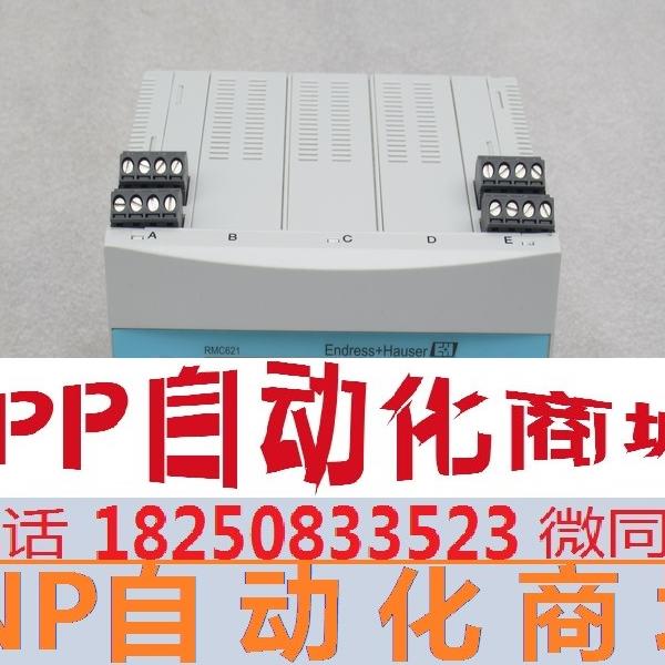 *销售*全新恩德斯豪斯E+H热量积算仪RMC621-A22AAA1BA1现货RMC621