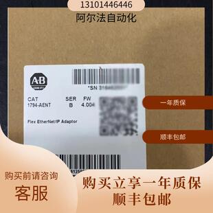 1794-AENT 1794-AENTR 1794-ACNR 1794-ACN15AB罗克韦尔 全新询价