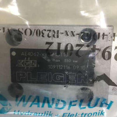 WANDFLUH  PLEIGER AE4D62-XX-M45T13 PLEIGER 294.2012议价