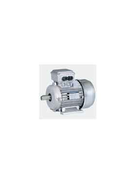 现货意大利NERI马达 T80C4 0.92KW 三相异步煞车电机ECOS 1询价