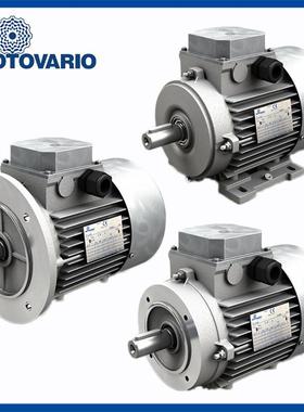 供应DRDRIVES三相异步交流电机TS63B4 0.18KW 三相异步进口马询价