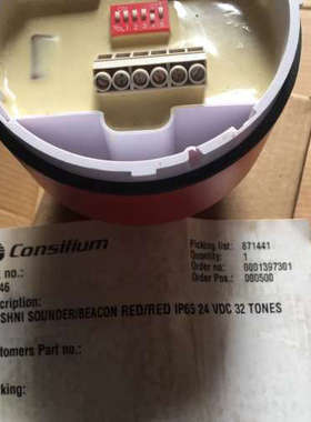 Consilium N1546 FLASHNI SOUNDER 24V Cooper Fulleon FLASHNI议